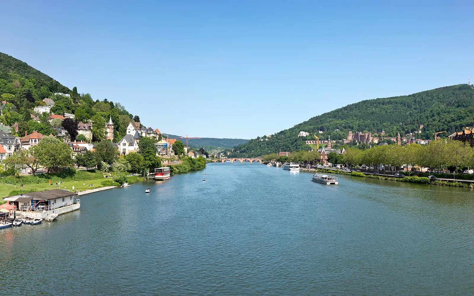 Neckar bei Heidelberg mit Neuenheim und bewaldeten Hängen