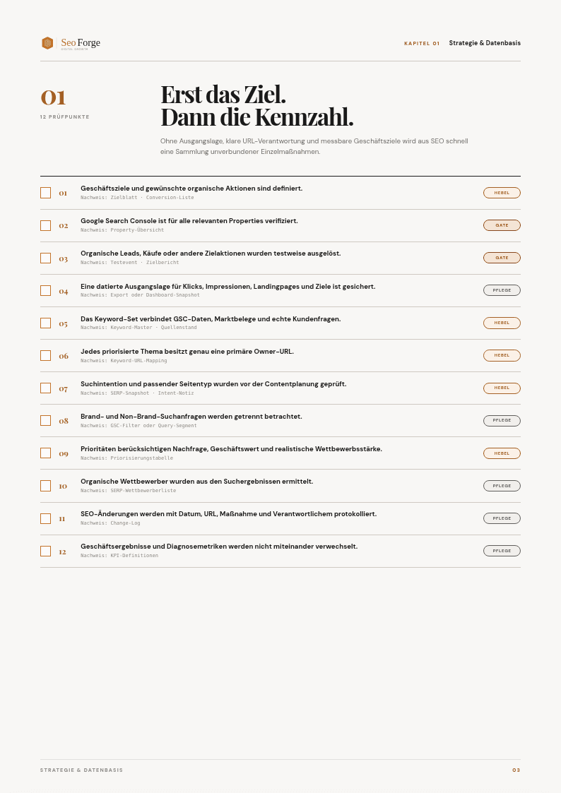 Innenseite der SEO-Checkliste mit Prüfpunkten zu Strategie und Datenbasis