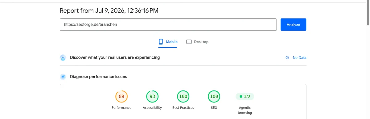 Google PageSpeed Insights Mobile-Report mit den Werten Performance 89, Accessibility 93, Best Practices 100 und SEO 100